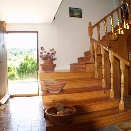 House In With Sea View, Terrace, Air Conditioning, Wi-fi Hébergement de vacances Kukljica