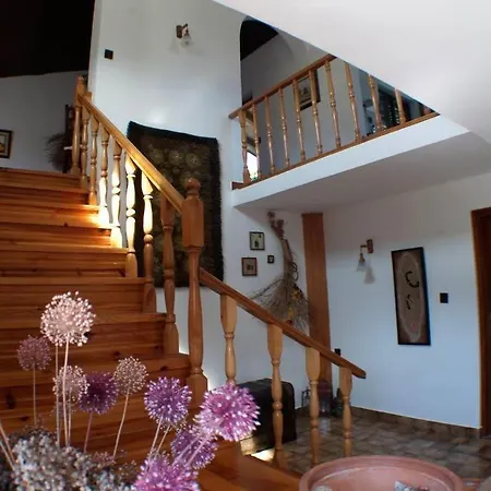 House In With Sea View, Terrace, Air Conditioning, Wi-fi *